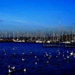 Night Shift in Geneva Harbour - Miruna Boari